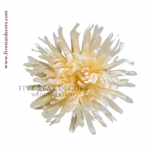 Chrysanthemum Loose Flower