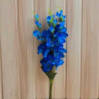 Gladiolus