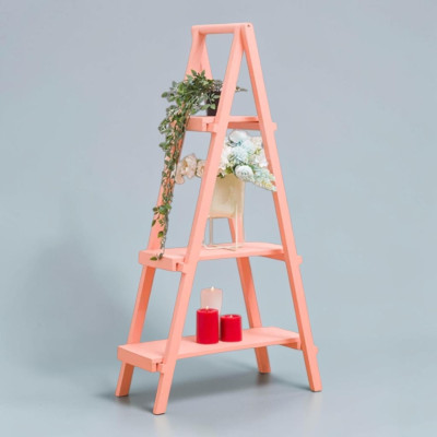 Wooden ladder shelf