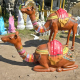 Camel