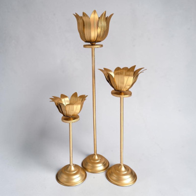 Lotus set of 3