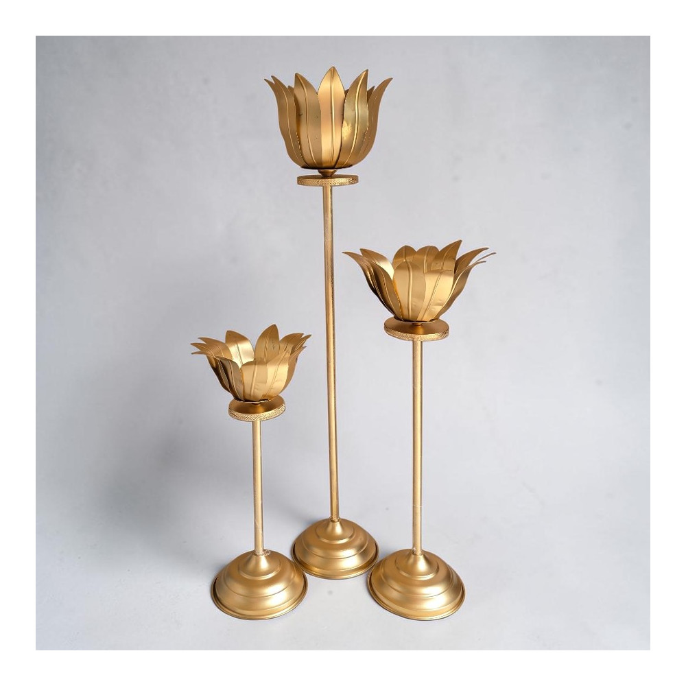 Lotus set of 3
