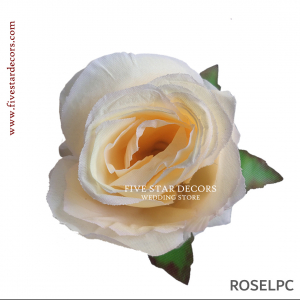 Rose Loose