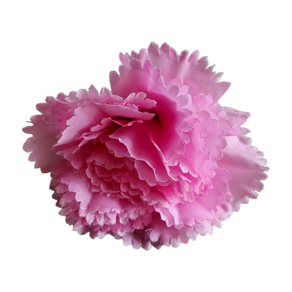 Carnation Flower