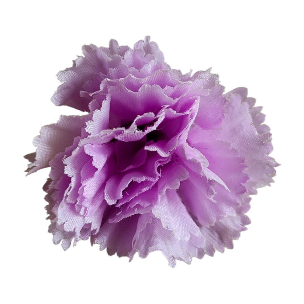 Carnation Flower