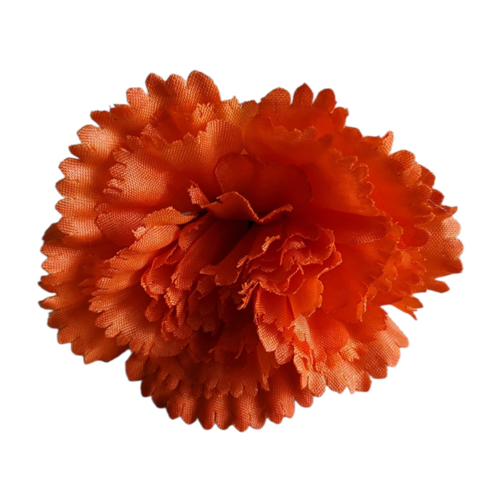 Carnation Flower