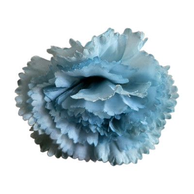 Carnation Flower