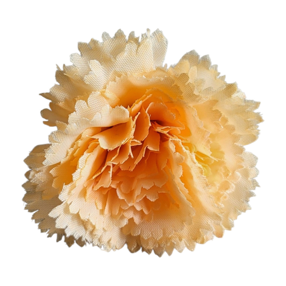 Carnation Flower
