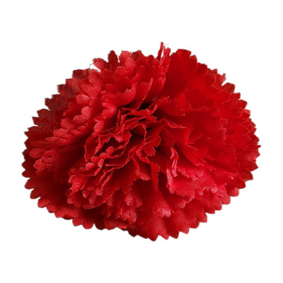 Carnation Flower