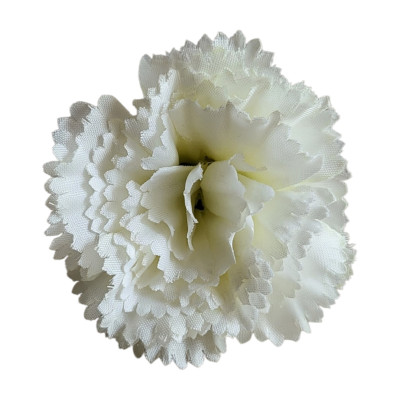 Carnation Flower