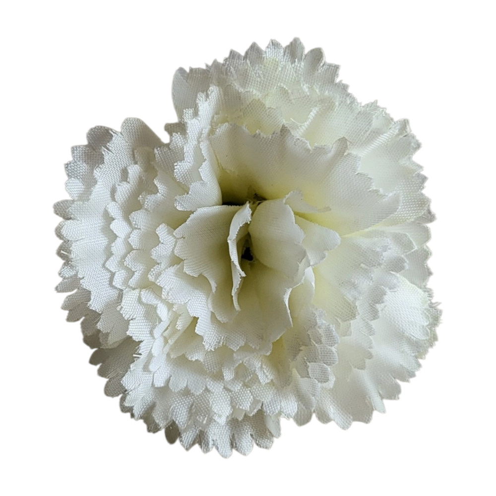 Carnation Flower