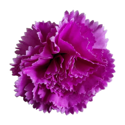 Carnation Flower