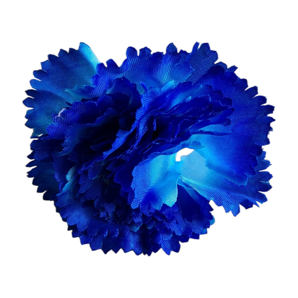 Carnation Flower