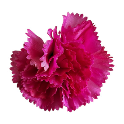 Carnation Flower