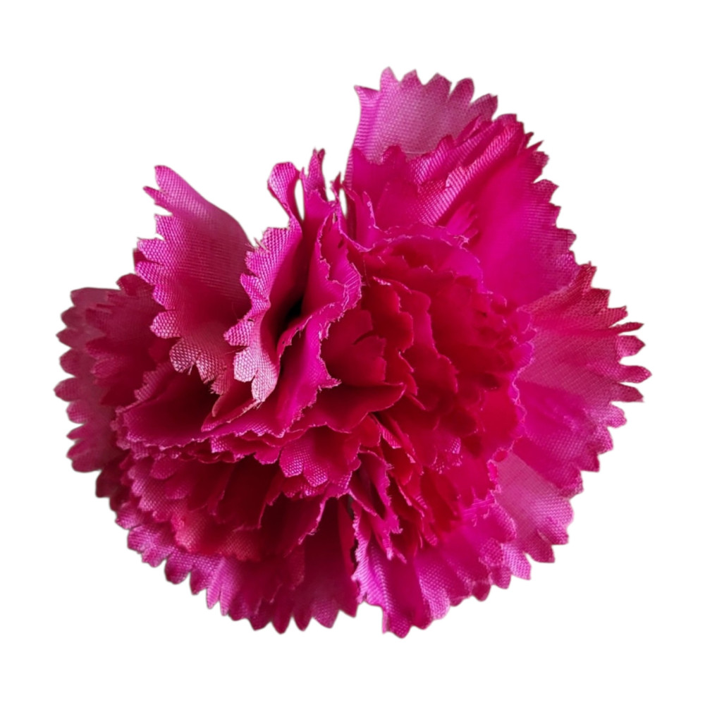 Carnation Flower