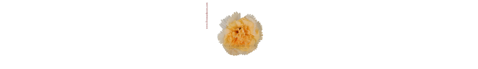 Carnation